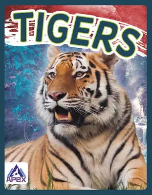 Tigri - Tigers