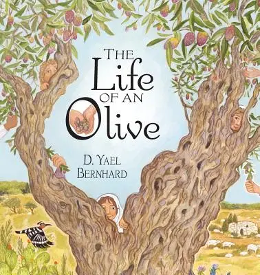 La vita di un'oliva - The Life of an Olive