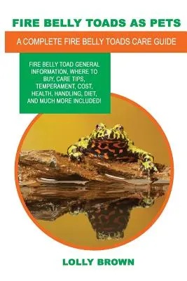 I rospi panciuti come animali domestici: Informazioni generali sul rospo di fuoco, dove acquistarlo, consigli per la cura, temperamento, costo, salute, gestione, dieta e molto altro. - Fire Belly Toads as Pets: Fire Belly Toad general information, where to buy, care tips, temperament, cost, health, handling, diet, and much more