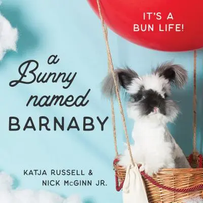 Un coniglio di nome Barnaby: Una vita da coniglietto - A Bunny Named Barnaby: It's a Bun Life