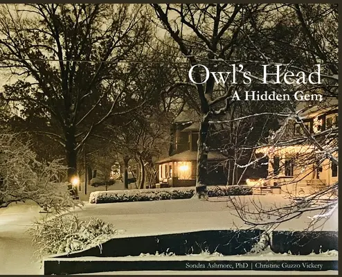 Testa di gufo: una gemma nascosta - Owl's Head: A Hidden Gem