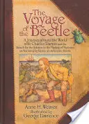 Il viaggio dello scarabeo: Un viaggio intorno al mondo con Charles Darwin e la ricerca della soluzione al mistero dei misteri, come narrato - The Voyage of the Beetle: A Journey Around the World with Charles Darwin and the Search for the Solution to the Mystery of Mysteries, as Narrate
