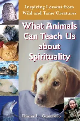 Cosa possono insegnarci gli animali sulla spiritualità: Lezioni ispirate da creature selvagge e mansuete - What Animals Can Teach Us about Spirituality: Inspiring Lessons from Wild and Tame Creatures