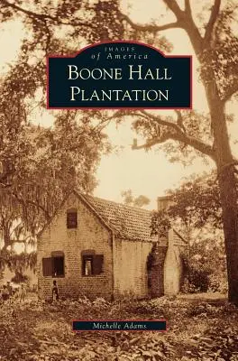 Piantagione di Boone Hall - Boone Hall Plantation