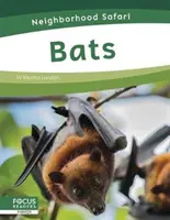 Pipistrelli - Bats