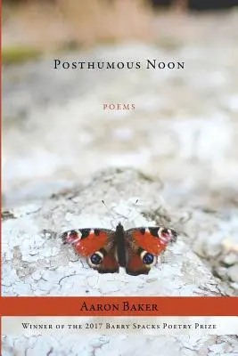 Mezzogiorno postumo - Posthumous Noon
