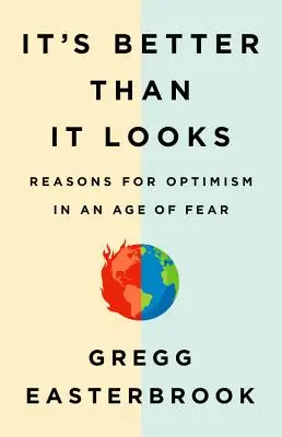 È meglio di quanto sembri: Ragioni per l'ottimismo in un'epoca di paura - It's Better Than It Looks: Reasons for Optimism in an Age of Fear