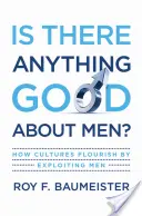 C'è qualcosa di buono negli uomini?: Come le culture prosperano sfruttando gli uomini - Is There Anything Good about Men?: How Cultures Flourish by Exploiting Men