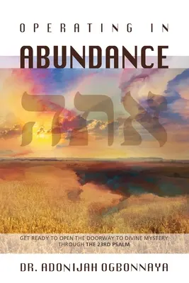 Operare nell'abbondanza - Operating in Abundance
