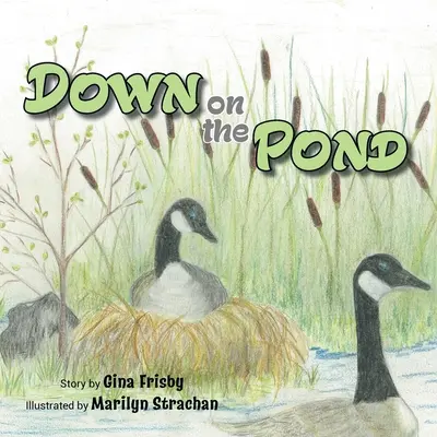 Giù nello stagno - Down on the Pond