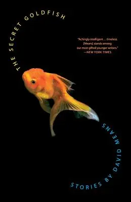 Il pesce rosso segreto: Storie - The Secret Goldfish: Stories