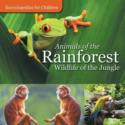 Animali della foresta pluviale - La fauna della giungla - Enciclopedie per bambini - Animals of the Rainforest - Wildlife of the Jungle - Encyclopedias for Children