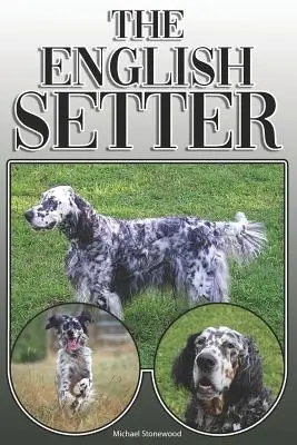 Il Setter Inglese: Guida completa ed esaustiva per il proprietario: Acquistare, possedere, salute, curare, addestrare, obbedire, capire e capire i cani. - The English Setter: A Complete and Comprehensive Owners Guide To: Buying, Owning, Health, Grooming, Training, Obedience, Understanding and