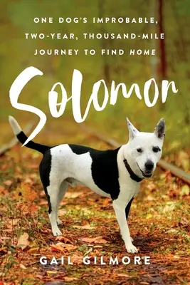 Solomon: L'improbabile viaggio di due anni e mille miglia di un cane per trovare casa - Solomon: One Dog's Improbable, Two-year, Thousand-mile Journey to Find Home