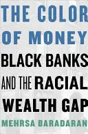 Il colore del denaro: Le banche nere e il divario di ricchezza razziale - The Color of Money: Black Banks and the Racial Wealth Gap