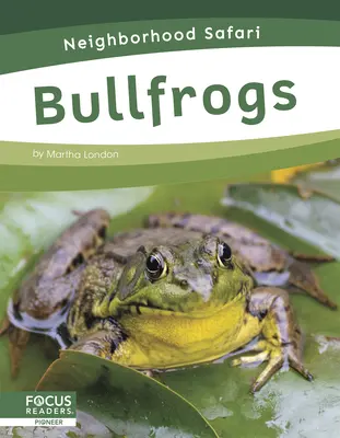 Rane toro - Bullfrogs