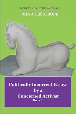 Saggi politicamente scorretti di un attivista preoccupato: Libro 1 - Politically Incorrect Essays by a Concerned Activist: Book 1