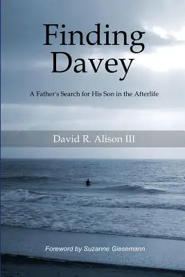 Alla ricerca di Davey: La ricerca del figlio nell'aldilà da parte di un padre - Finding Davey: A father's search for his son in the afterlife