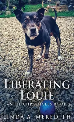 Liberare Louie: La strada per Rutland - Liberating Louie: The Road To Rutland