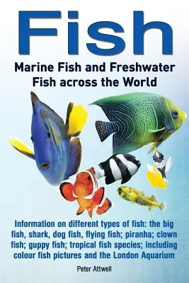 I pesci: Pesci marini e d'acqua dolce nel mondo: Informazioni sui diversi tipi di pesce: il pesce grosso, lo squalo, il pesce cane - Fish: Marine Fish and Freshwater Fish Across the World: Information on Different Types of Fish: The Big Fish, Shark, Dog Fis