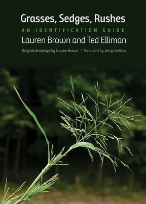 Erbe, carici, giunchi: Guida all'identificazione - Grasses, Sedges, Rushes: An Identification Guide