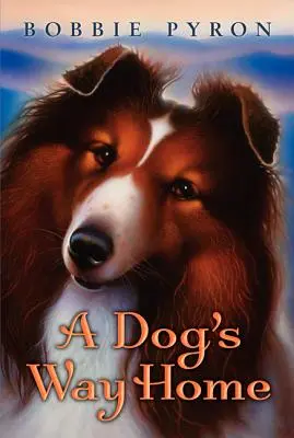 La via di casa di un cane - A Dog's Way Home