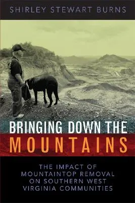 Abbattere le montagne: L'impatto dell'estrazione di carbone di superficie Moutaintop Removal sulle comunità della Virginia Occidentale meridionale - Bringing Down the Mountains: The Impact of Moutaintop Removal Surface Coal Mining on Southern West Virginia Communities