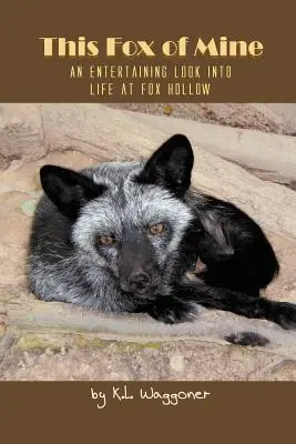 Questa mia volpe: Uno sguardo divertente sulla vita a Fox Hollow - This Fox of Mine: An Entertaining Look into Life at Fox Hollow