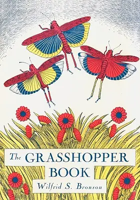 Il libro delle cavallette - The Grasshopper Book
