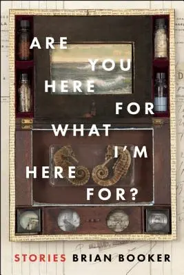 Sei qui per quello che sono qui? - Are You Here for What I'm Here For?