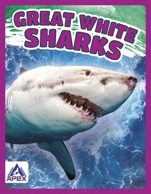 Squali bianchi - Great White Sharks