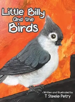 Il piccolo Billy e gli uccelli - Little Billy and the Birds