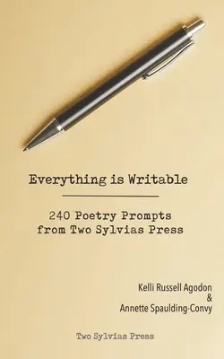 Tutto è scrivibile: 240 suggerimenti per la poesia di Two Sylvias Press - Everything is Writable: 240 Poetry Prompts from Two Sylvias Press