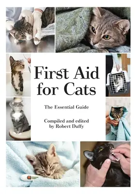 Primo soccorso per gatti: Guida essenziale - First Aid For Cats: The Essential Guide