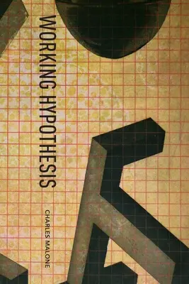 Ipotesi di lavoro - Working Hypothesis