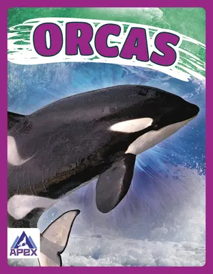 Orche - Orcas