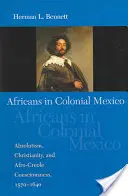 Gli africani nel Messico coloniale: Assolutismo, cristianesimo e coscienza afro-creola, 1570-1640 - Africans in Colonial Mexico: Absolutism, Christianity, and Afro-Creole Consciousness, 1570-1640
