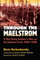 Attraverso il vortice: La guerra di un soldato dell'Armata Rossa sul fronte orientale, 1942-1945 - Through the Maelstrom: A Red Army Soldier's War on the Eastern Front, 1942-1945