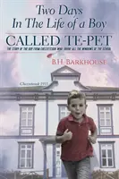 Due giorni nella vita di un ragazzo chiamato Te-pet: La storia del ragazzo di Chezzetcook che ruppe tutte le finestre della scuola - Two days in the life of a boy called Te-pet: The story of the boy from Chezzetcook who broke all the windows of the school