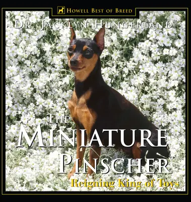Pinscher in miniatura: Il re dei giocattoli - Miniature Pinscher: Reigning King of Toys