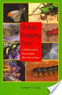 Cosa ti disturba? Uno sguardo affettuoso agli animali che amiamo odiare - What's Bugging You?: A Fond Look at the Animals We Love to Hate