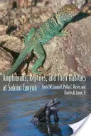 Anfibi, rettili e i loro habitat nel Sabino Canyon - Amphibians, Reptiles, and Their Habitats at Sabino Canyon