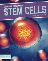 Cellule staminali - Stem Cells