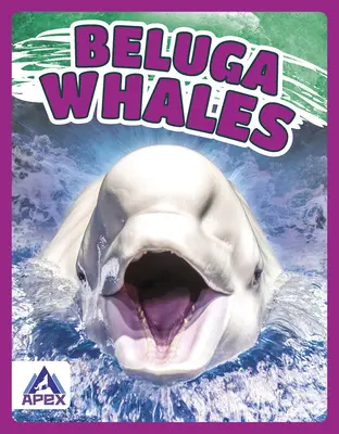 Balene Beluga - Beluga Whales