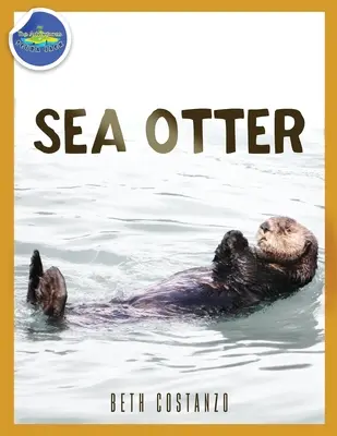 La lontra marina dai 2 ai 4 anni - Sea Otter ages 2-4