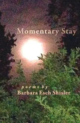 Soggiorno momentaneo: Poesie - Momentary Stay: Poems