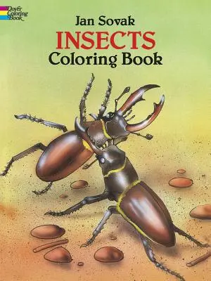 Insetti da colorare - Insects Coloring Book
