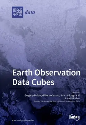 Cubi di dati per l'osservazione della Terra - Earth Observation Data Cubes