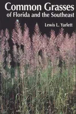 Erbe comuni della Florida e del sud-est - Common Grasses of Florida & The Southeast