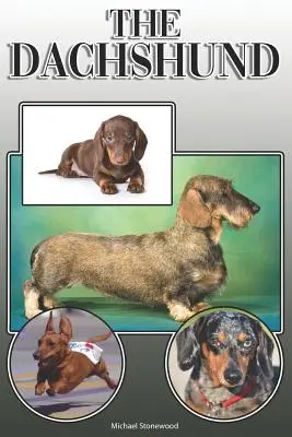 Il bassotto: Guida completa ed esauriente per il proprietario: Acquisto, possesso, salute, toelettatura, addestramento, obbedienza, comprensione e - The Dachshund: A Complete and Comprehensive Owners Guide to: Buying, Owning, Health, Grooming, Training, Obedience, Understanding and